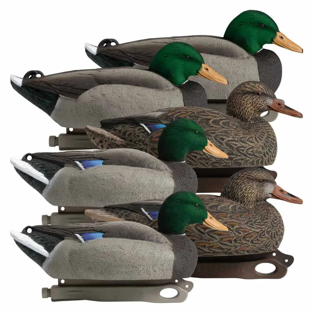 Decoys