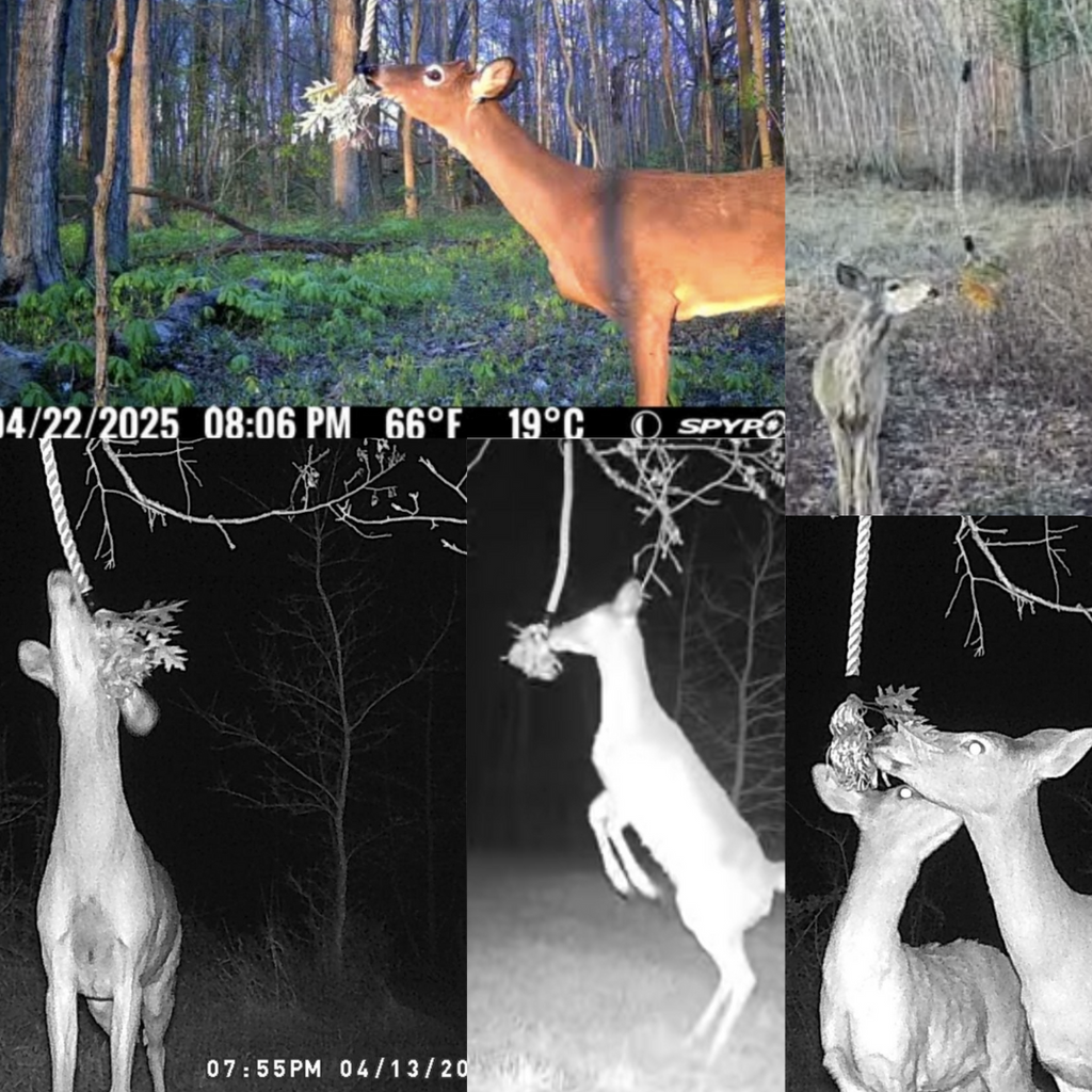 BUCK ROPE
