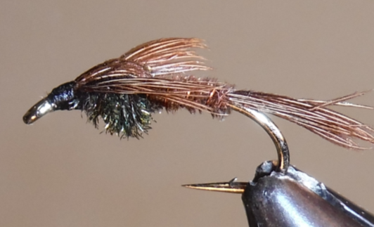 Pheasant Tail Nymph