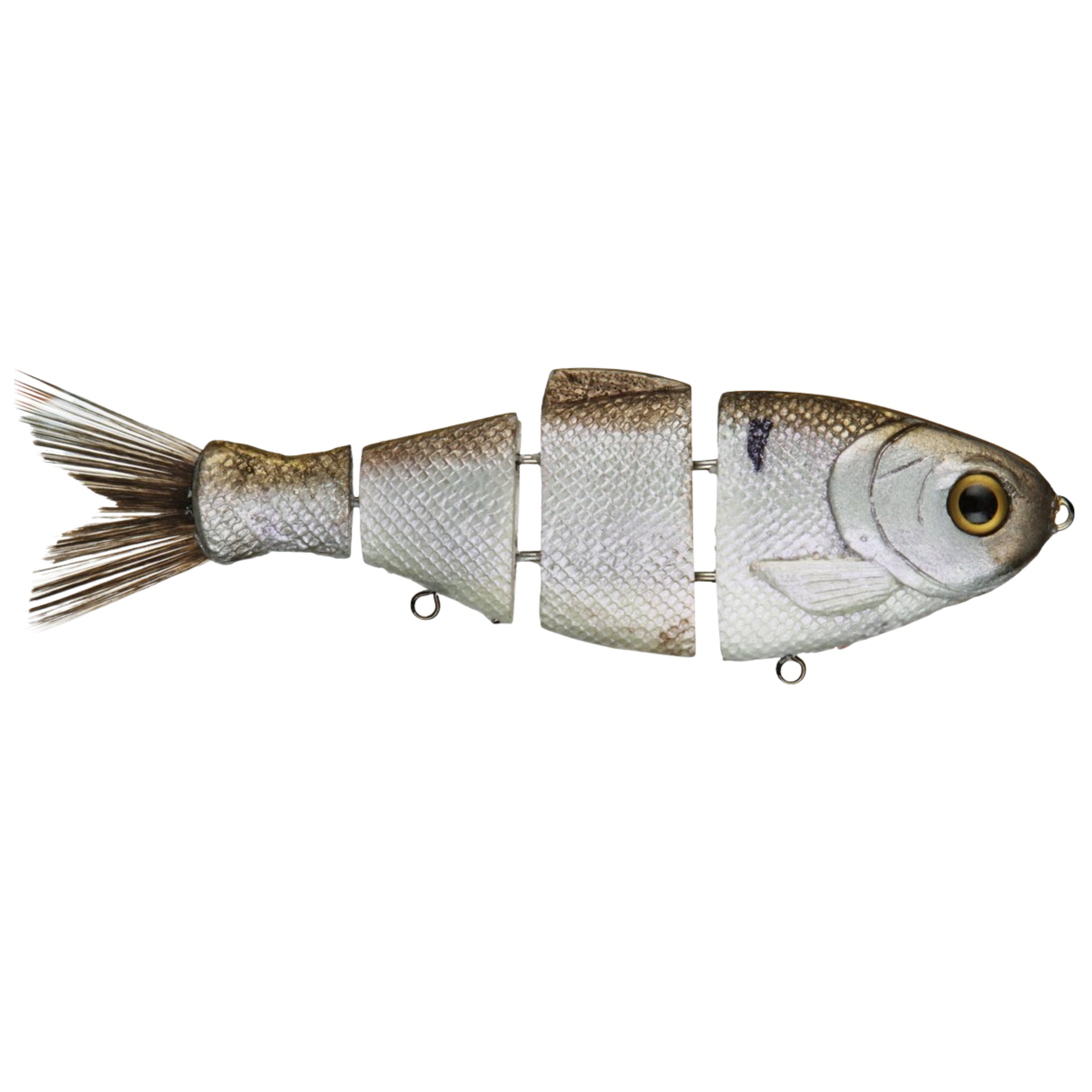 Bull Shad 2Knocker