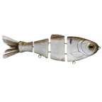 Bull Shad Slow Sink