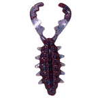 Bio Craw