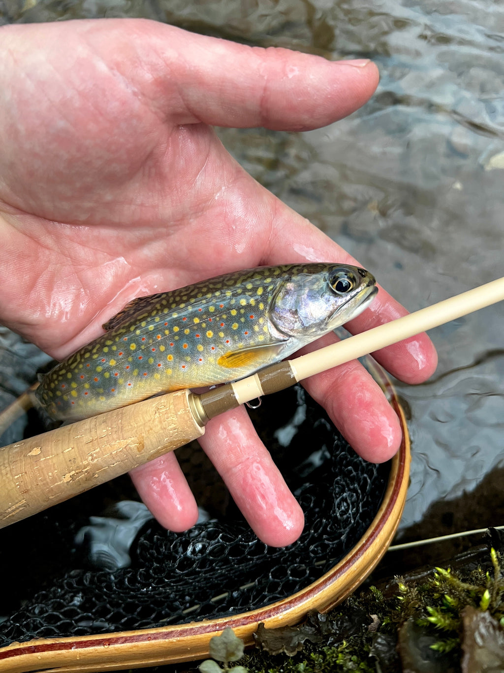 WLR Fly Rod