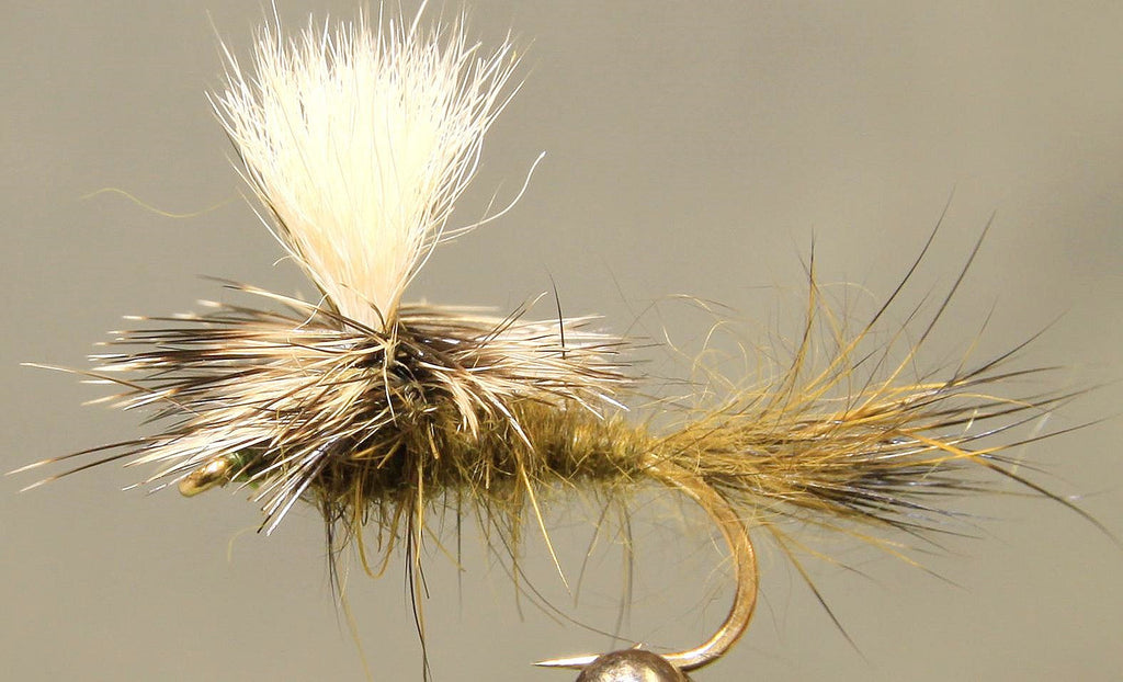 Parachute Hare's Ear