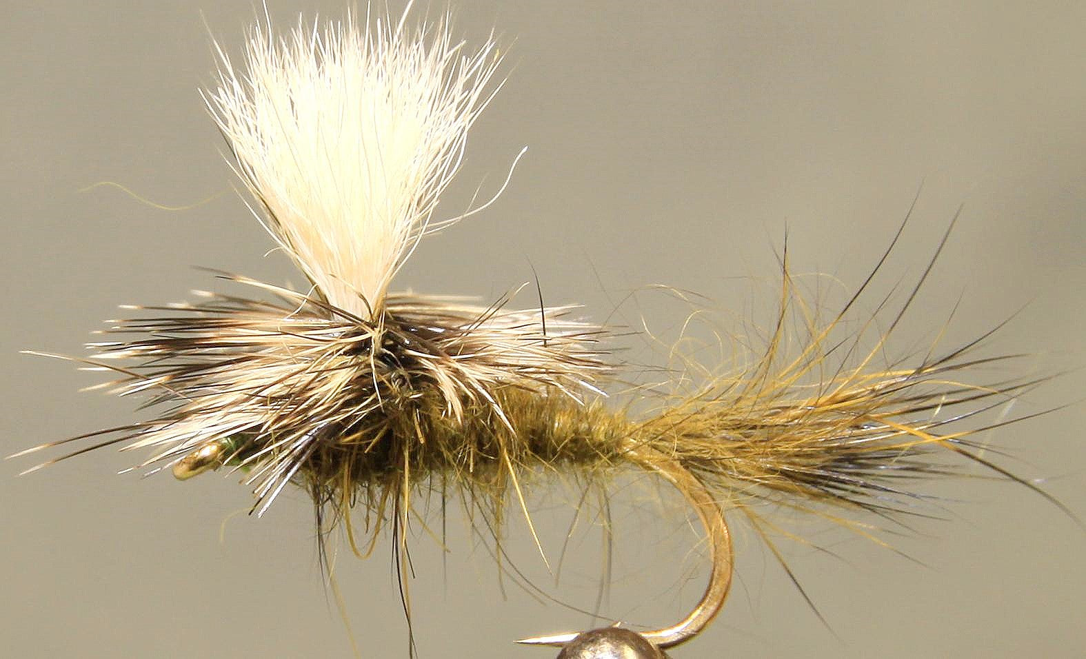 Parachute Hare's Ear
