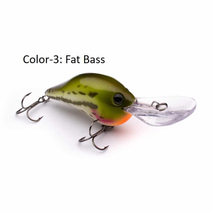 Phat Boy DD