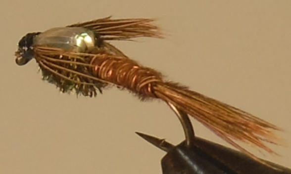 Pheasant Tail Nymph