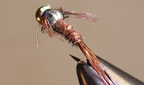BH Pheasant Tail