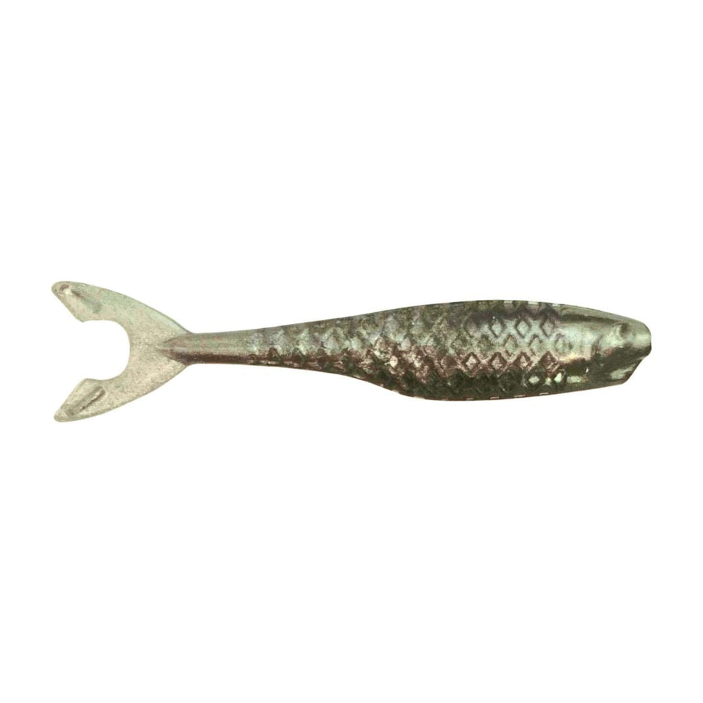 Bash Minnow