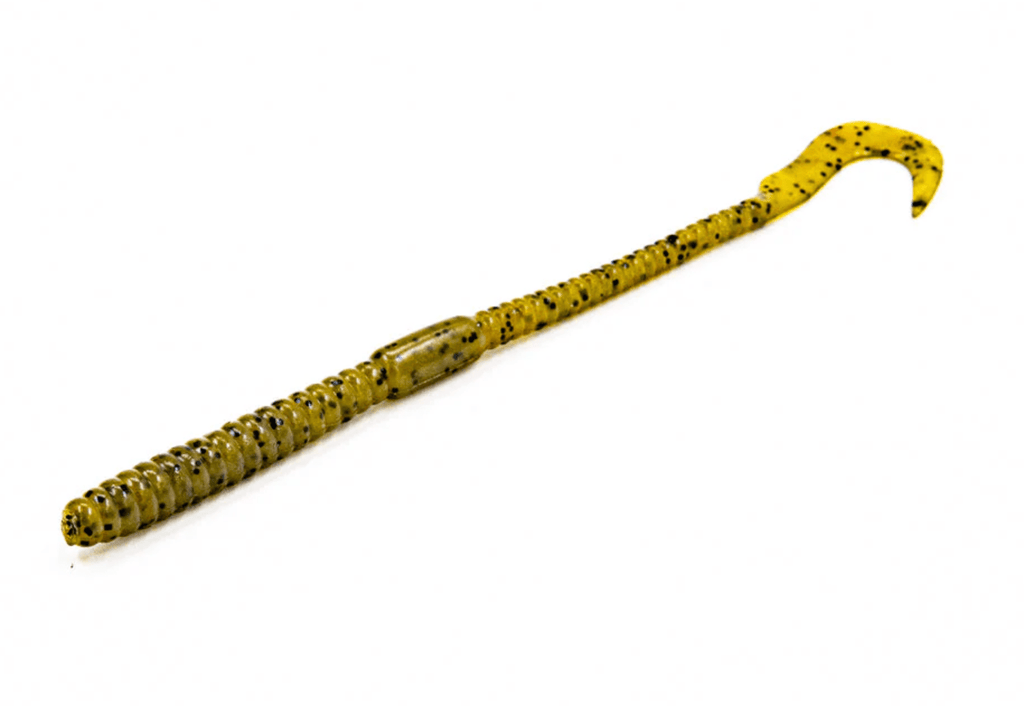 Lil' Jay Worm