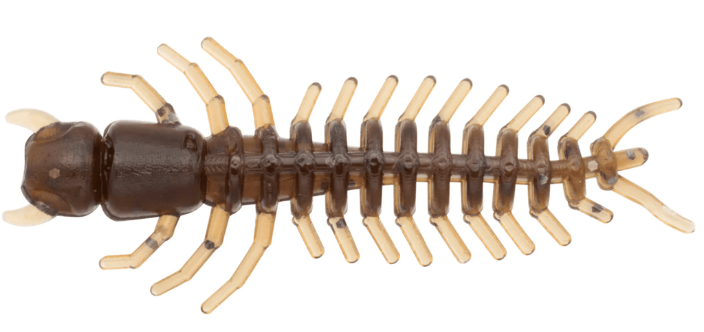 Hellgrammite
