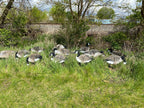 Magnum Lite 3D Canada Geese