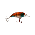 Seeker 6