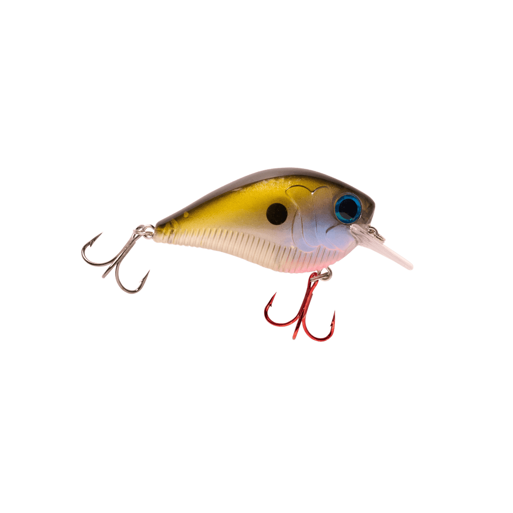 SquareBanger