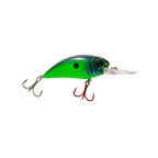 Seeker 12