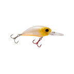 Seeker 12