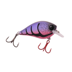 Little Banger