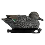 Rugged Series Blue-Winged Teal