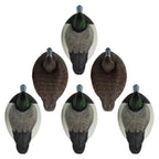 Rugged Series Bluebill – Foam Filled