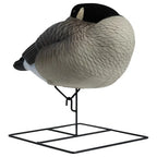Rugged Series Flocked Head Full Body Canada Sleeper 4-Pack