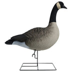 Rugged Series Full Body Canada Goose Touchdown Decoys – Flocked Head