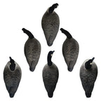 Rugged Series Full Body Canada Goose Touchdown Decoys – Flocked Head