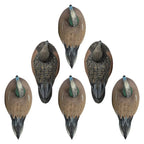 Rugged Series Wigeon