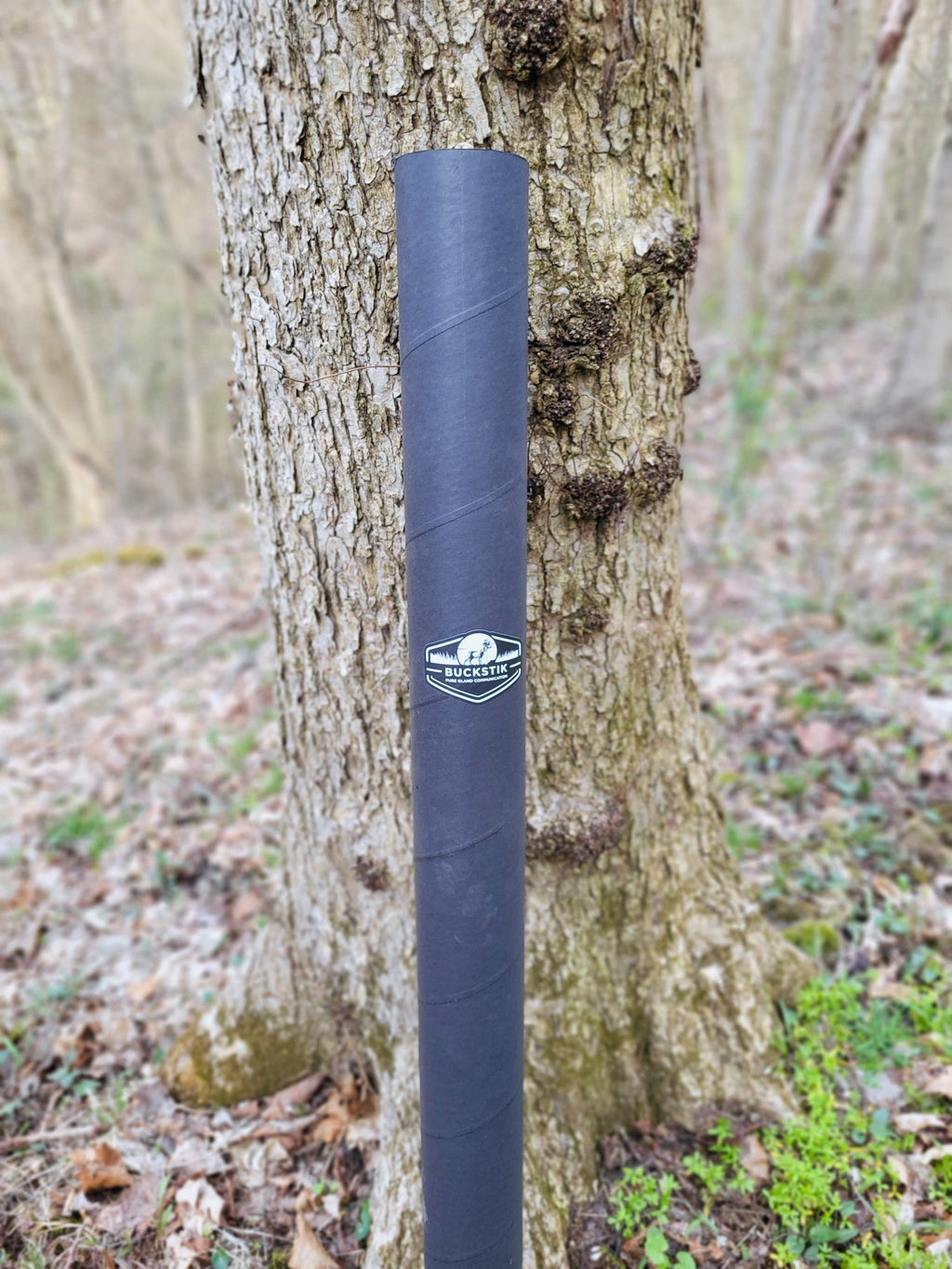 BuckBranch w/ 3 pack of Glands