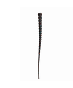 Whip Worm