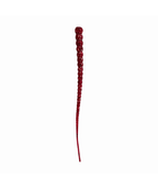 Whip Worm