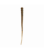 Whip Worm