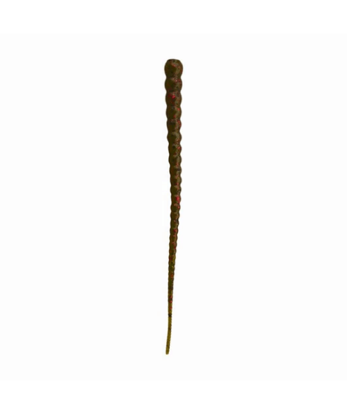 Whip Worm