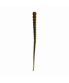 Whip Worm