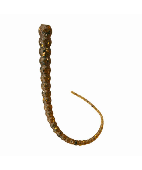 Whip Worm