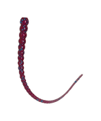 Whip Worm