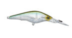 Hardcore Shad